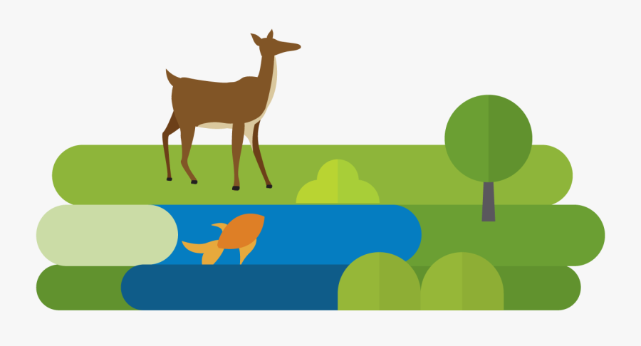 Messagepath4-deer - Roe Deer, Transparent Clipart