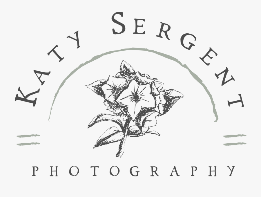 Outdoors Clipart Appalachian Mountains - Evergreen Rose, Transparent Clipart