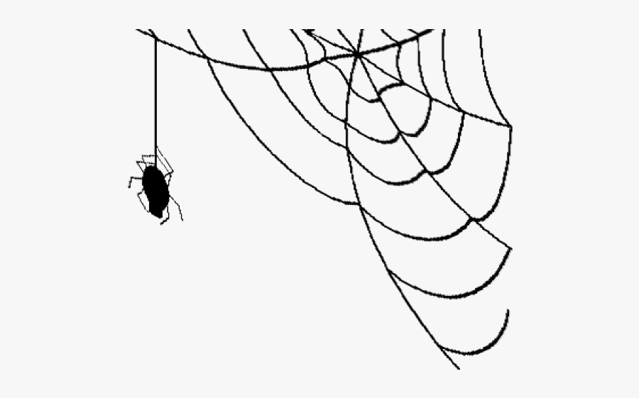 Transparent Background Spider Web Png, Transparent Clipart