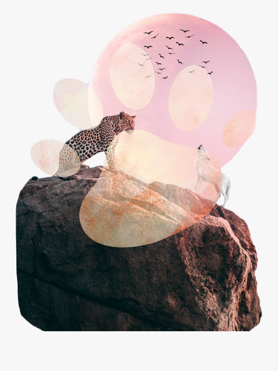 Leopard On Top Of Mountain, Transparent Clipart
