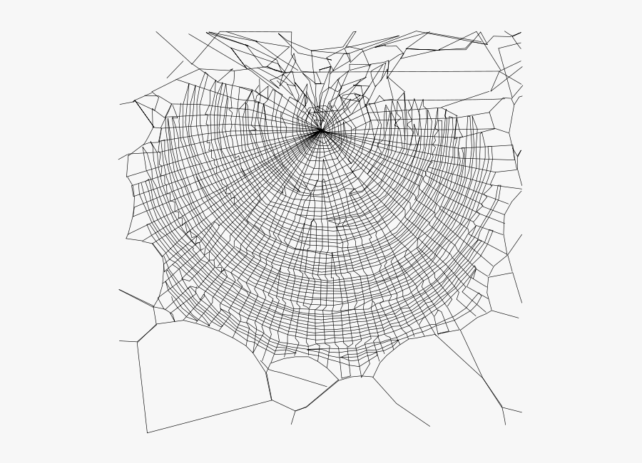 Transparent Spider Web Clip Art - Spider Web Transparent Background, Transparent Clipart