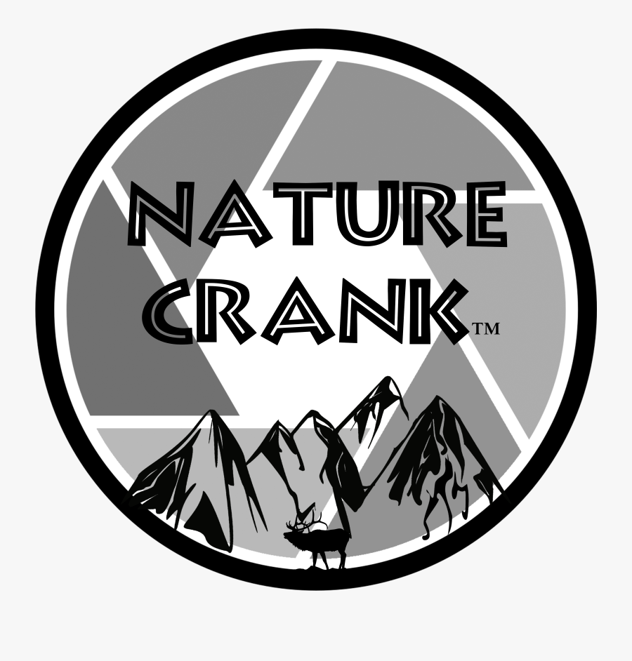 Random Thoughts And Digressives Of A Nature Addict - Camera Color Icon Png, Transparent Clipart