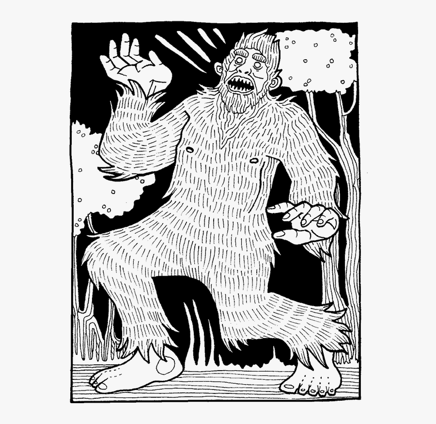 Picture - Illustration, Transparent Clipart