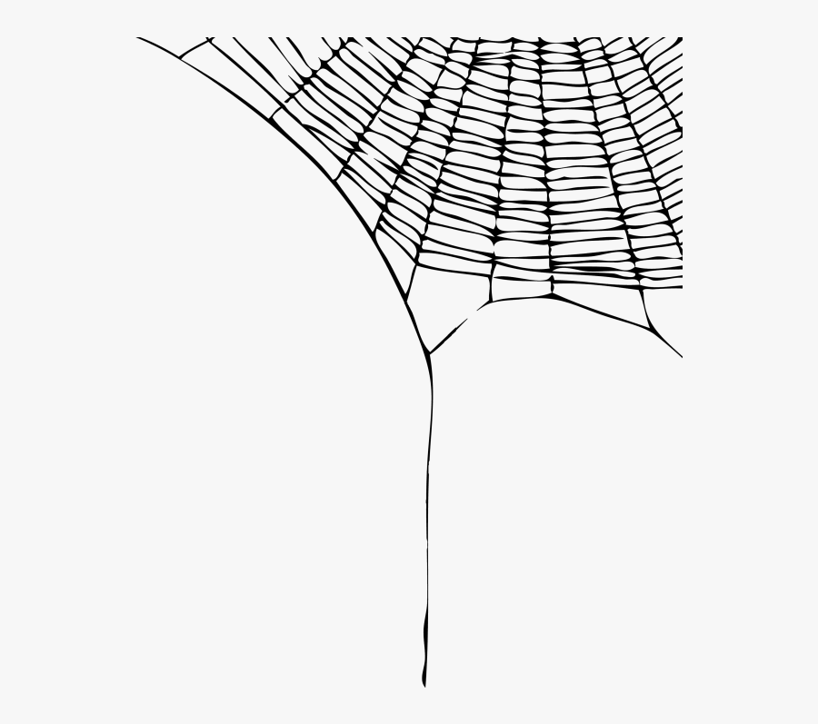 Web-spider Gothickyrachan - Spider Web Transparent Background, Transparent Clipart