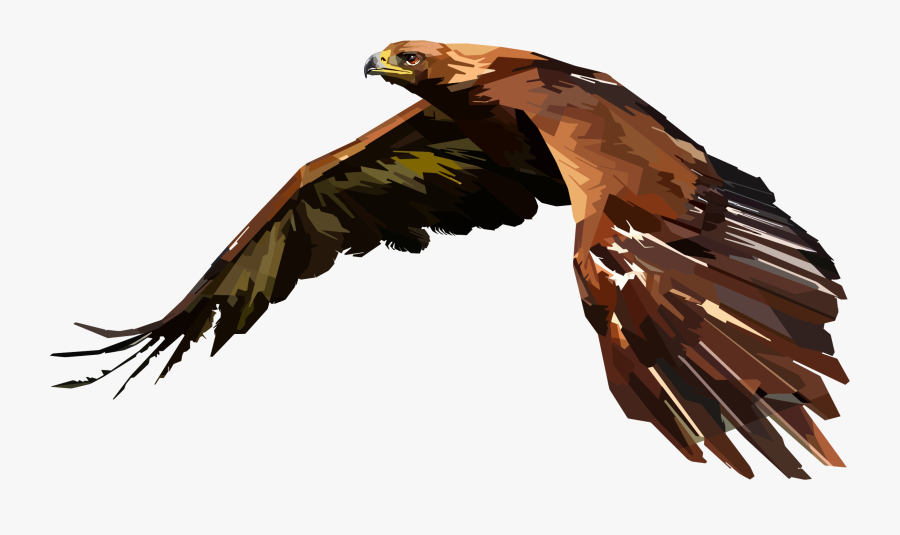 Eagle,wildlife,kite - Hawk Clipart, Transparent Clipart