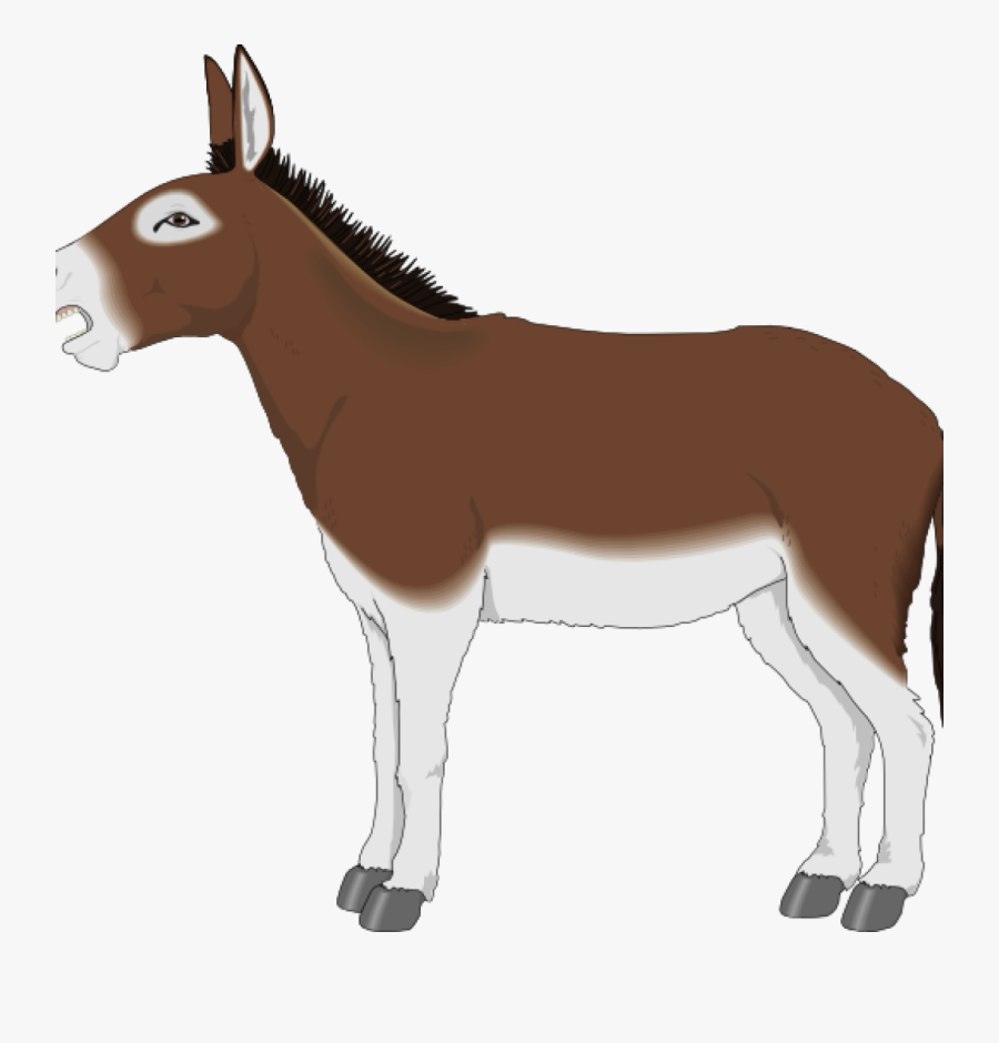 Transparent Shrek Donkey Clipart - Donkey Vector, Transparent Clipart