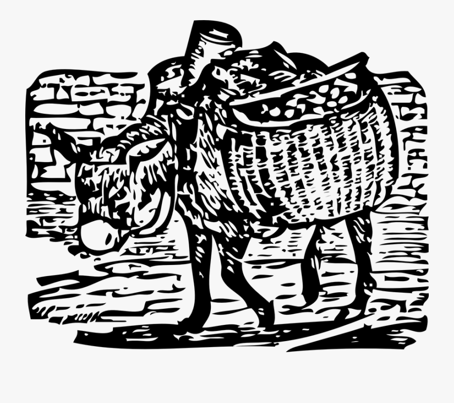 Burro De Carga Png, Transparent Clipart