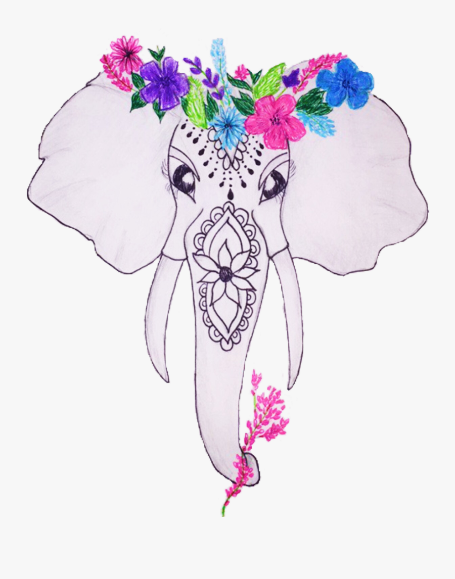 Torygiambrone - Illustration, Transparent Clipart