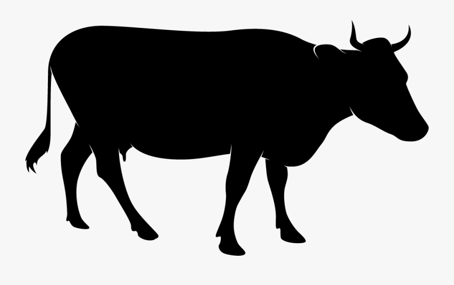 Cattle, Transparent Clipart