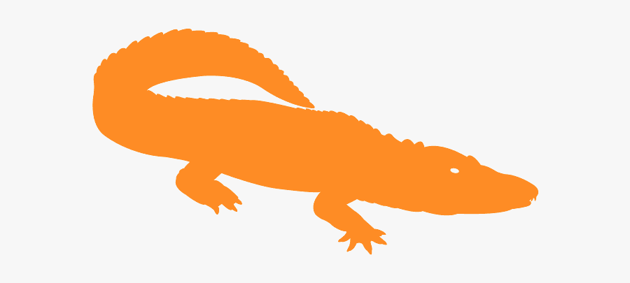 Lizard, Transparent Clipart