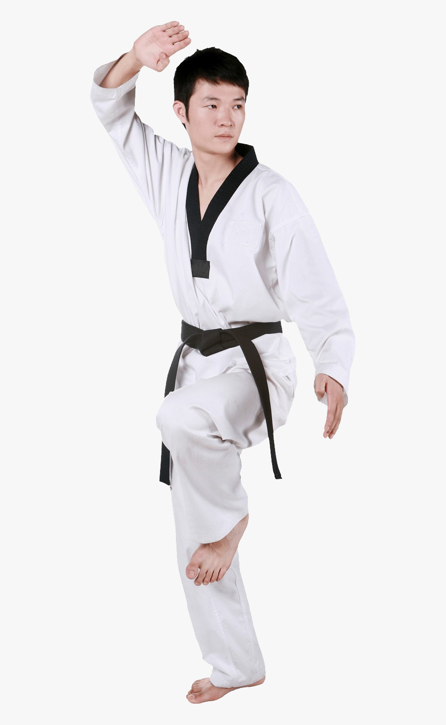 Taekwondo Png - Taekwondo Wtf Foto Png, Transparent Clipart