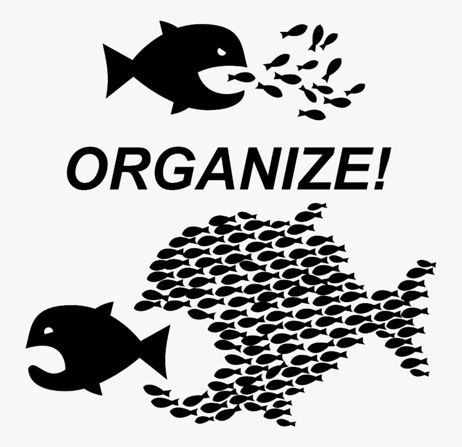Union Organize, Transparent Clipart