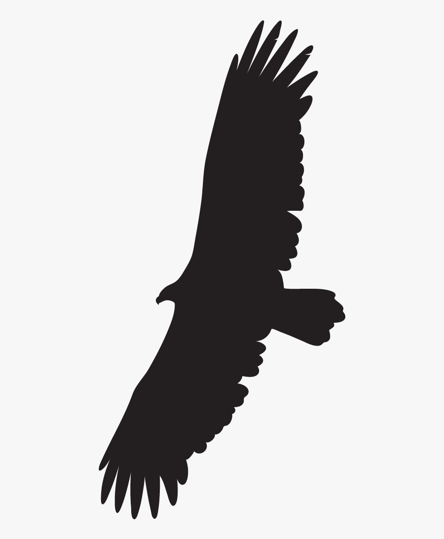 Clip Art Condor Animal - Eagle Soaring Cartoon, Transparent Clipart