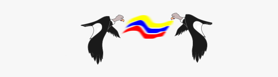 Condor Colombiano - Imagenes Del Condor Colombiano, Transparent Clipart