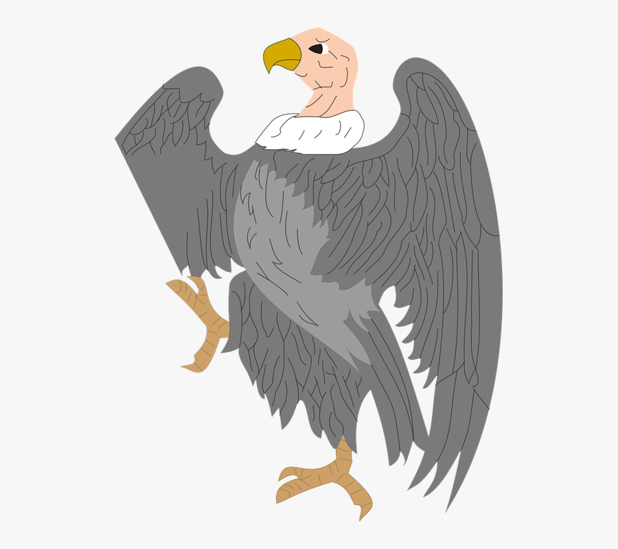Vulture Bird Big Prey - Cliparts Vulture, Transparent Clipart
