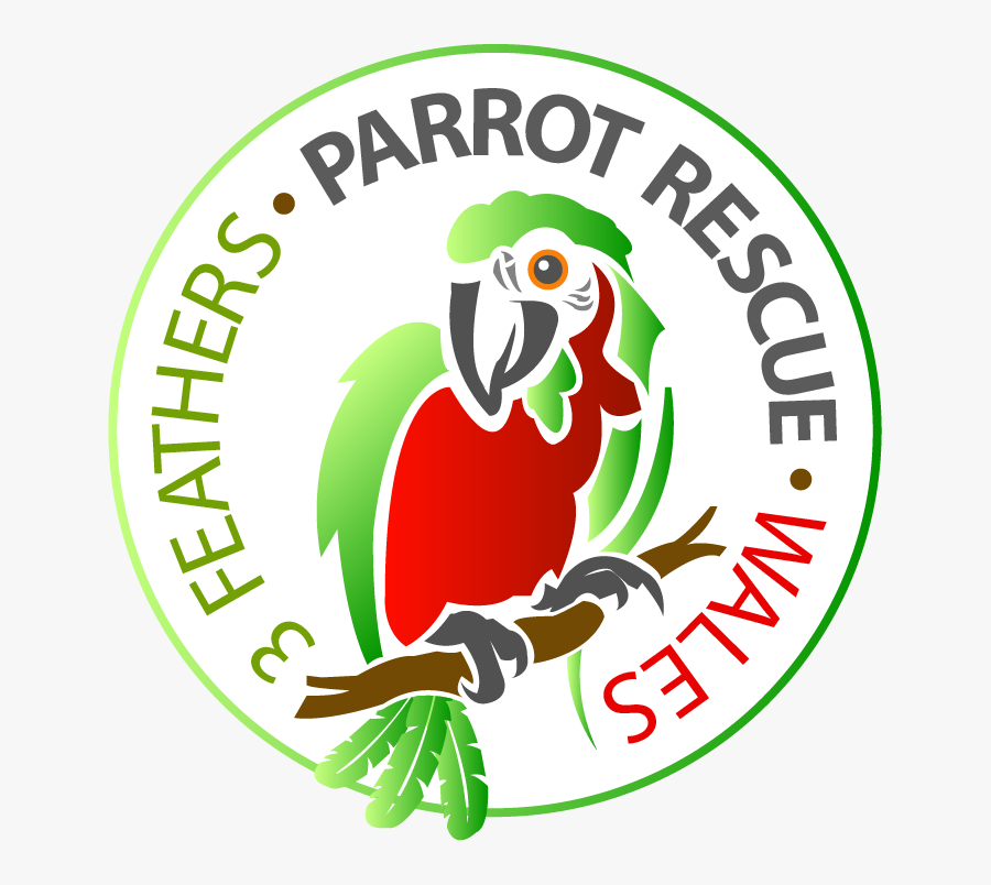 3 Feathers Parrot Rescue Wales Logo Clipart , Png Download, Transparent Clipart