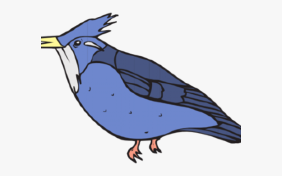Kingfisher Coloring Page, Transparent Clipart