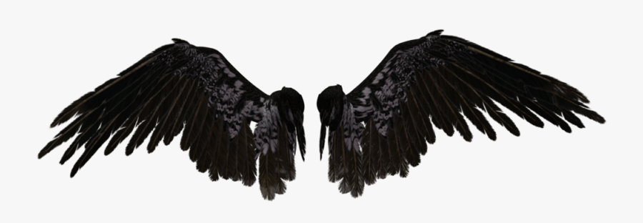 Wings, Png, And Transparent Image - Black Angel Wings Png, Transparent Clipart