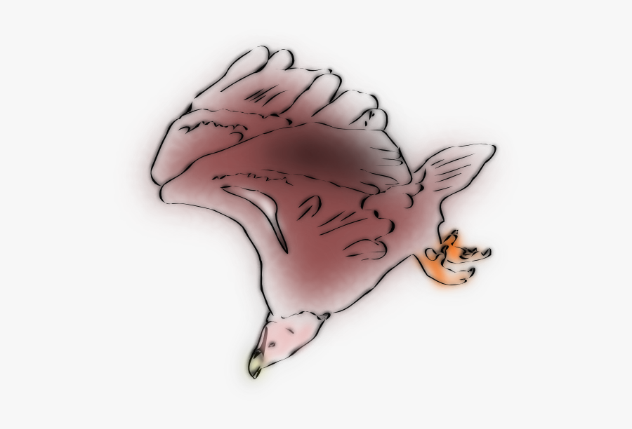 Drawing, Transparent Clipart