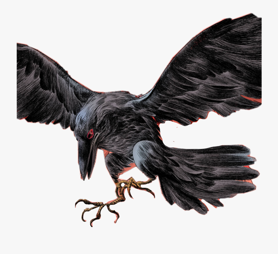 #bird #black #blackbird #raven #aesthetic #darkaesthetic - Turkey Vulture, Transparent Clipart