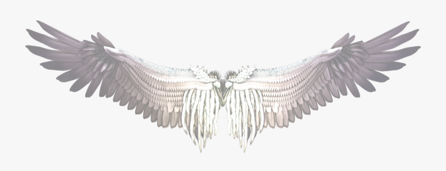 Buffalo Wing Castiel Bird - Black And Purple Wings, Transparent Clipart
