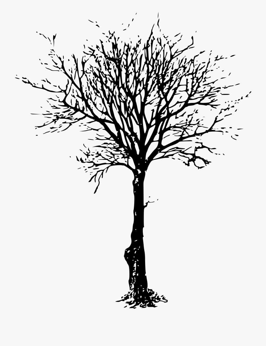 Clip Art Drawing Of A Dead Tree - Dead Tree Png Draw, Transparent Clipart