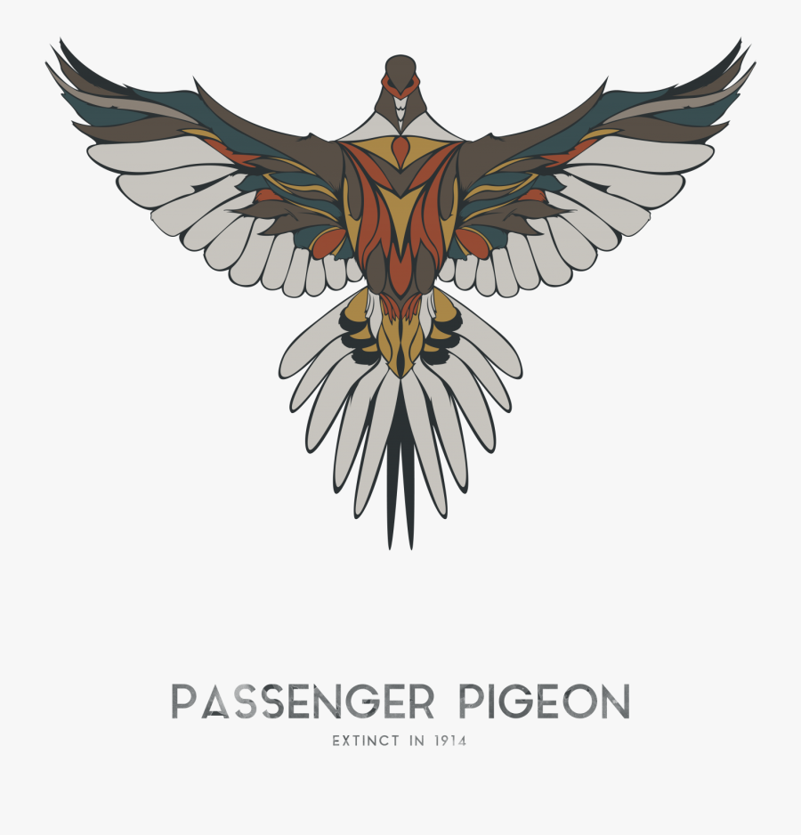 Bald Eagle, Transparent Clipart