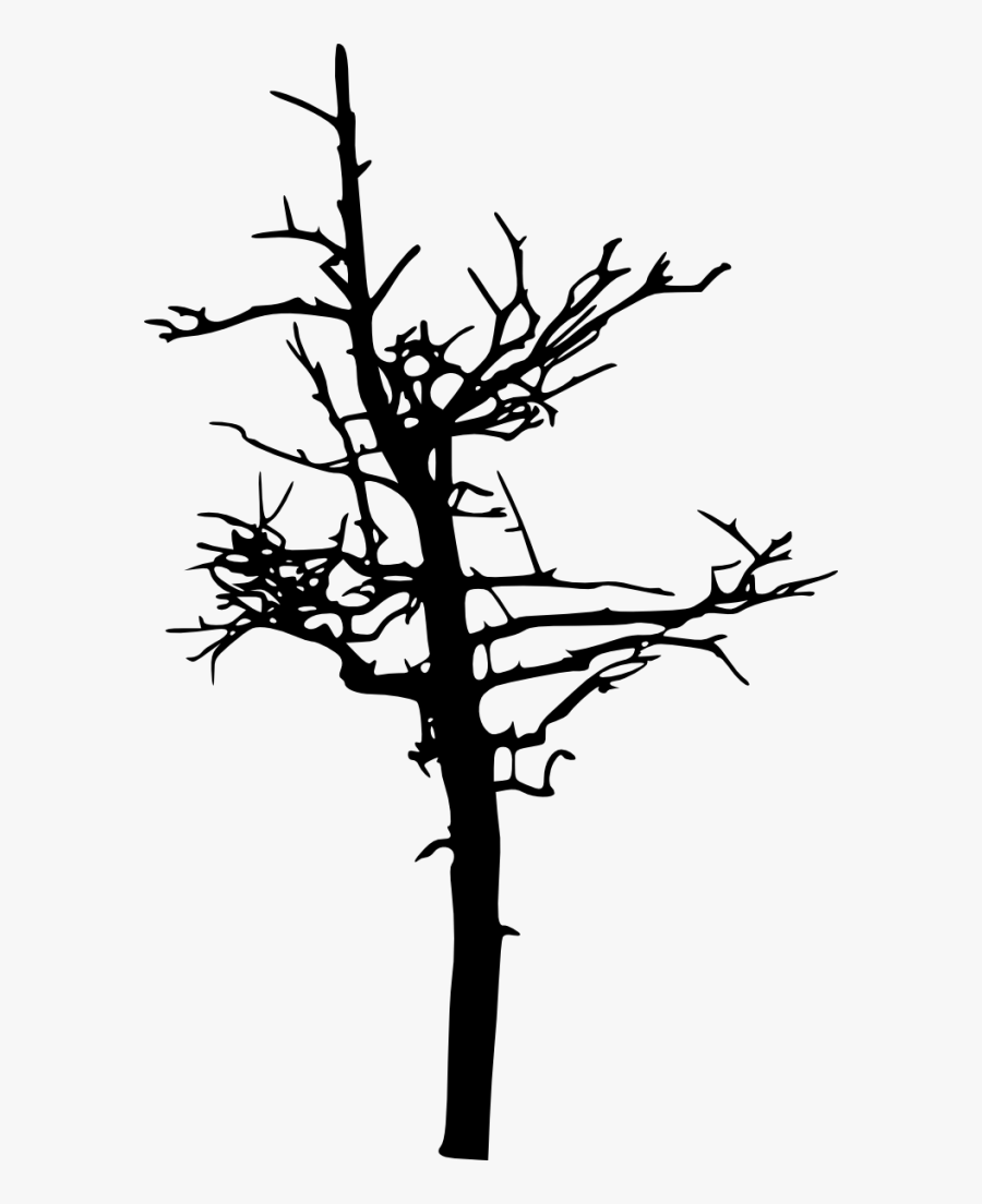Creepy Tree Silhouette Png, Transparent Clipart