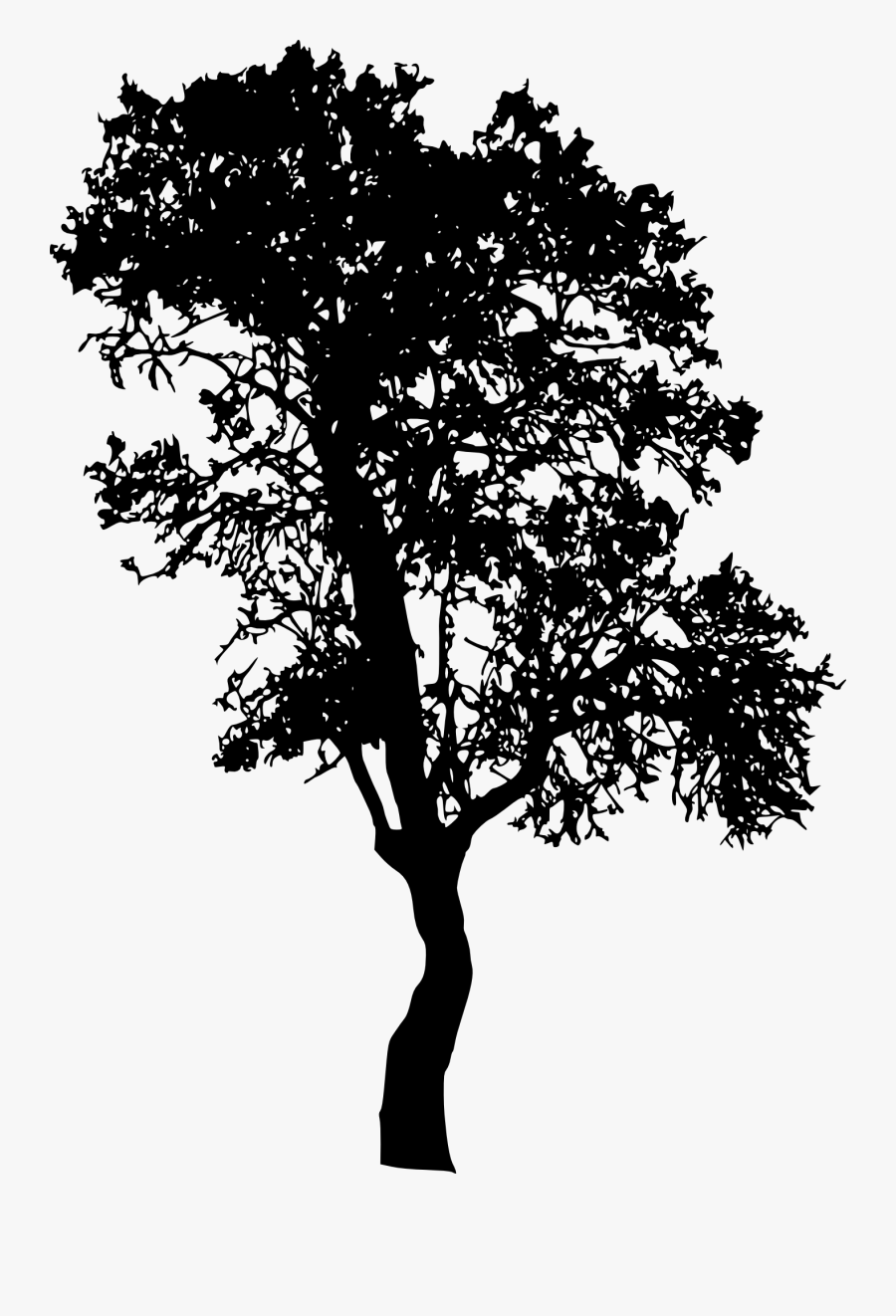 Tree Illustration Png, Transparent Clipart