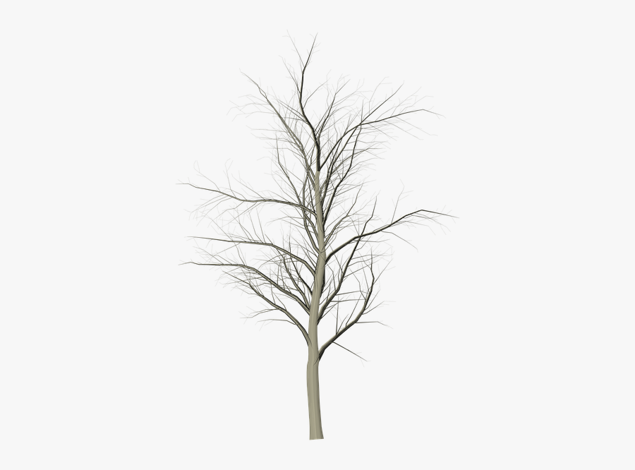 Snow, Transparent Clipart