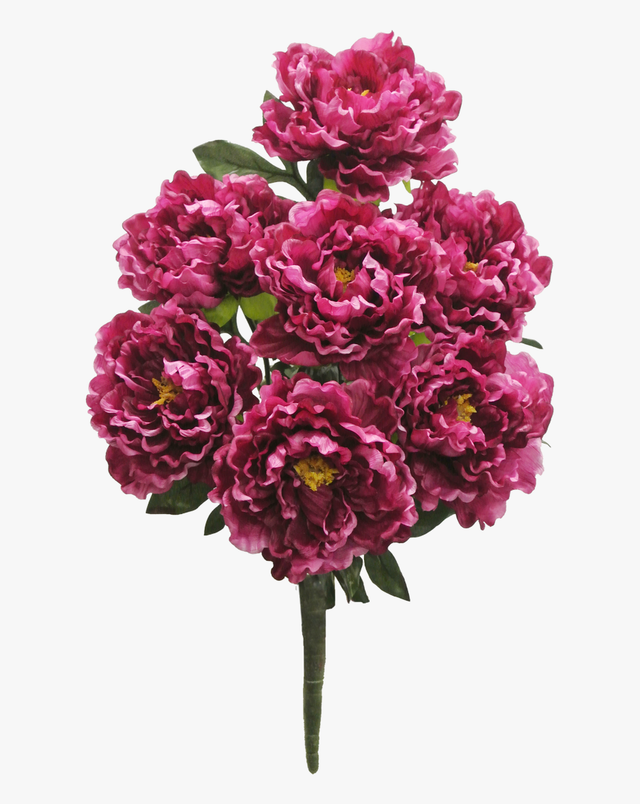 Burgundy Colored Flowers - Proven Winners Supertunia Vista Paradise, Transparent Clipart