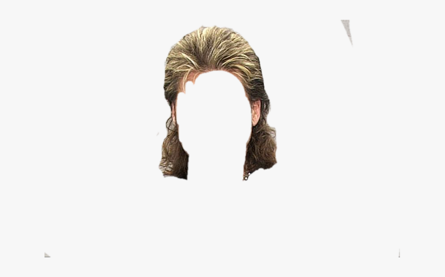 Mullet Freetoedit Transparent Background Mullet Hair Png Mullet Freetoedit Transparent Background Mullet Hair Png