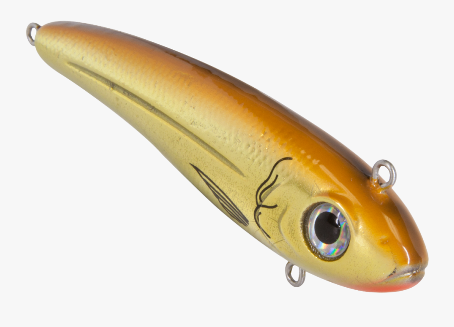 Transparent Mullet Png - Fishing, Transparent Clipart