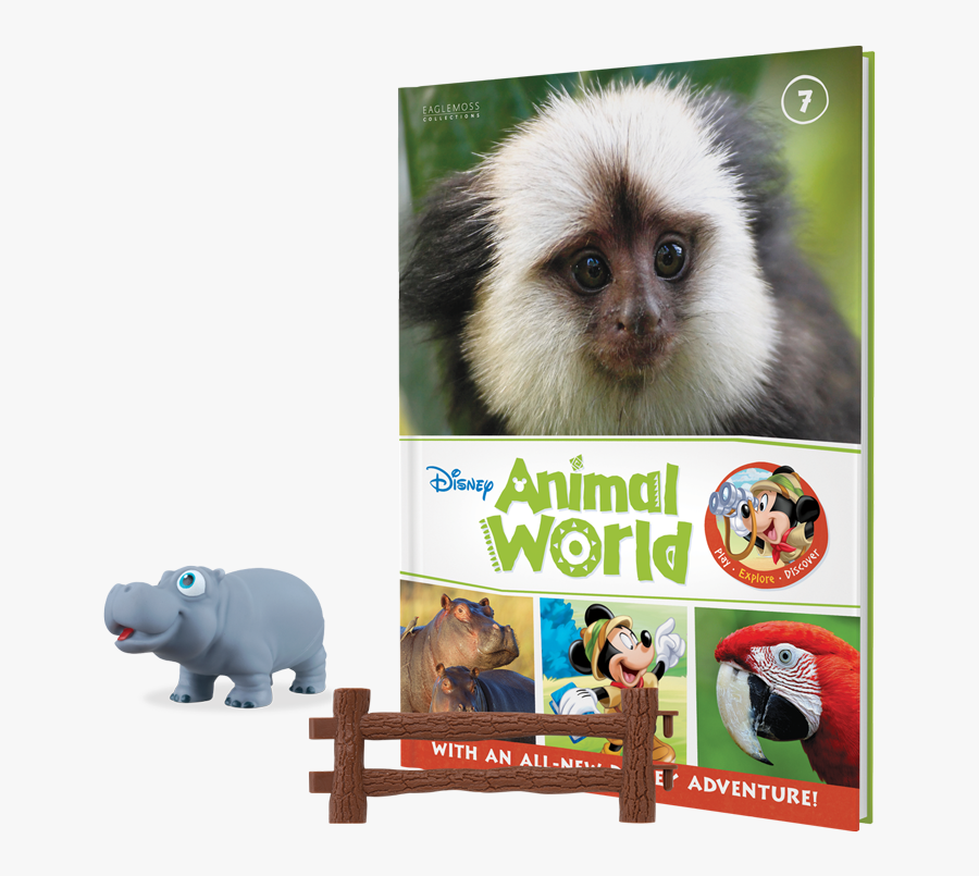 Lemur Book Plus Baby Hippo And A Fence Piece - Marmoset, Transparent Clipart