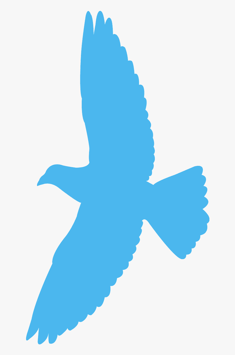 Lecący Gołąb Kontury, Transparent Clipart