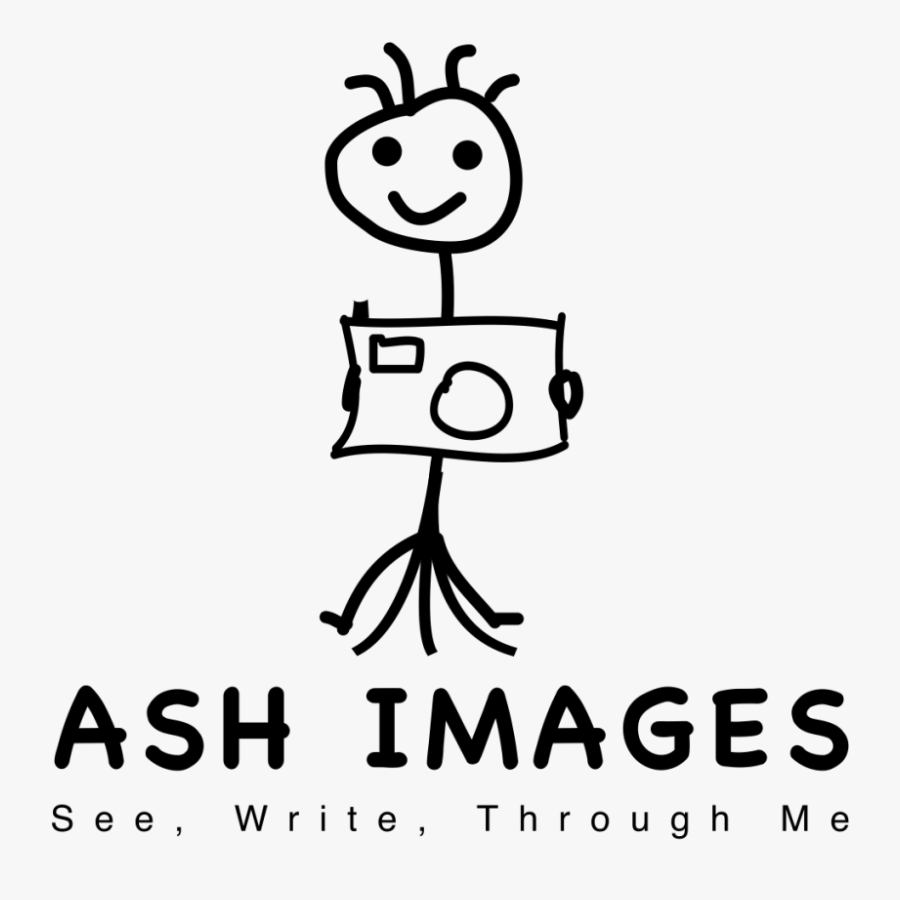 Clip Art Ash Images Logo Stick - Cartoon, Transparent Clipart