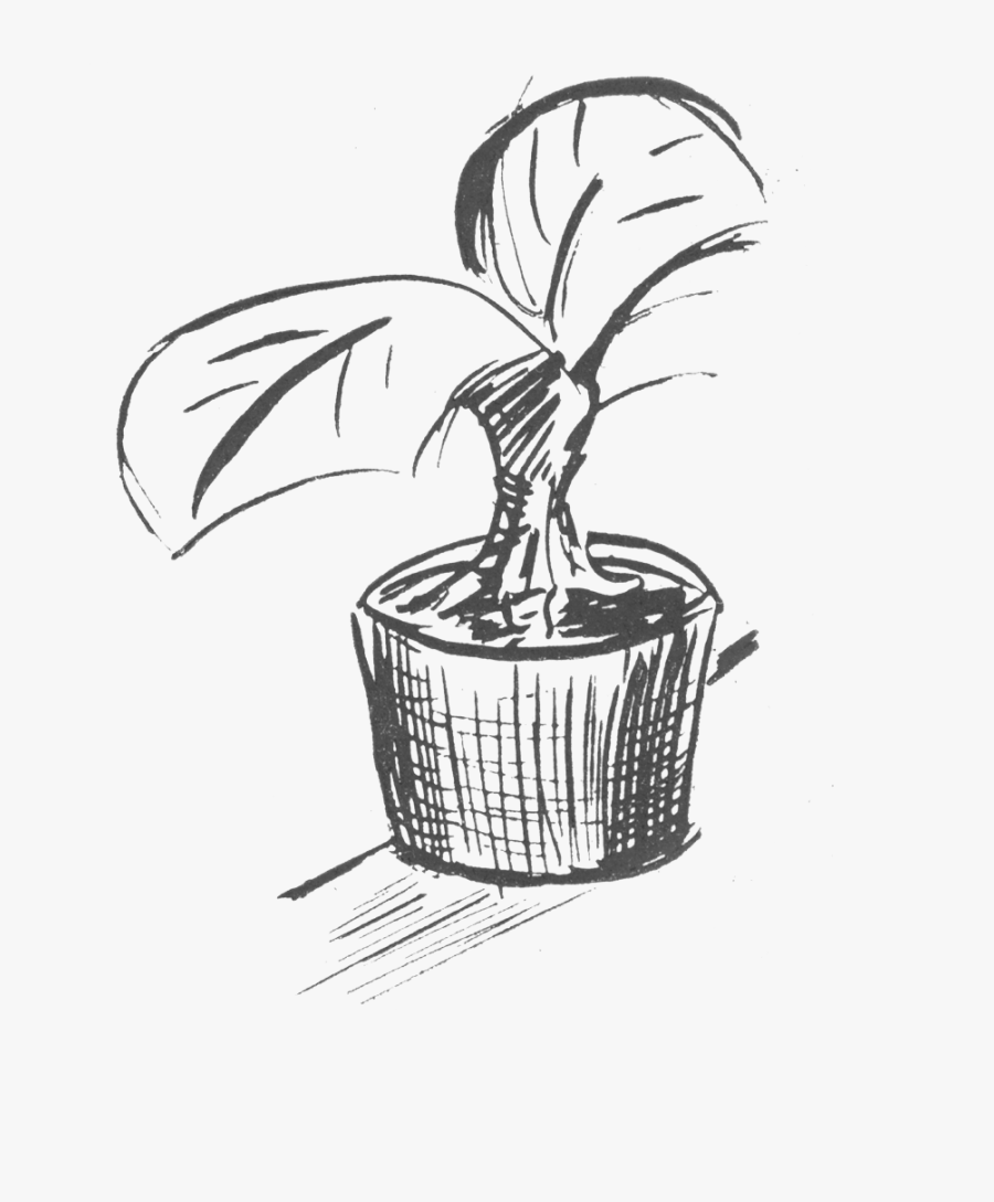 Sketch, Transparent Clipart