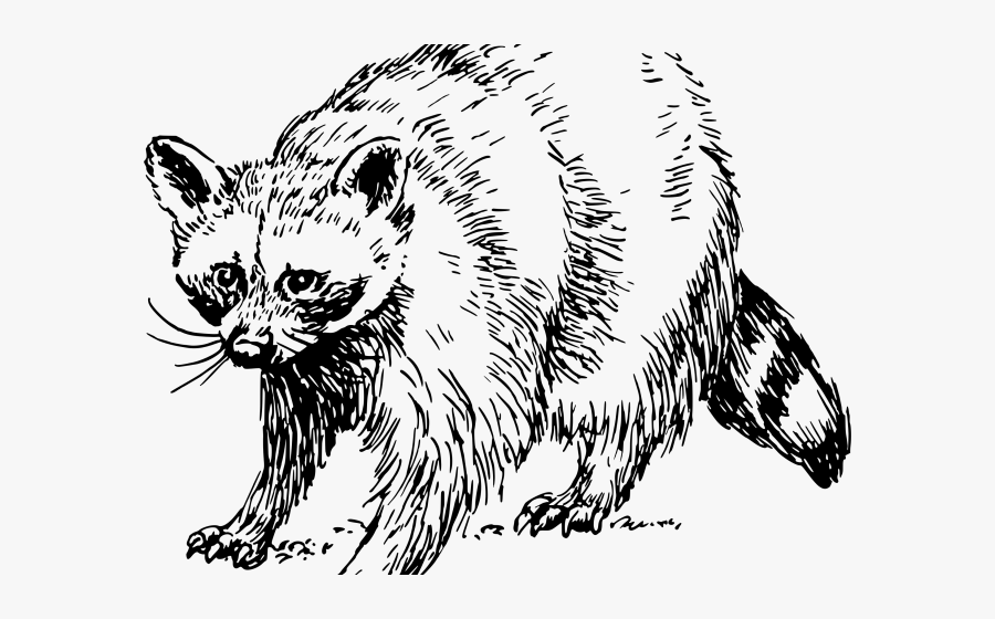 Portable Network Graphics, Transparent Clipart