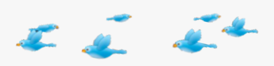 Photobooth Birds Png - Bath Toy, Transparent Clipart