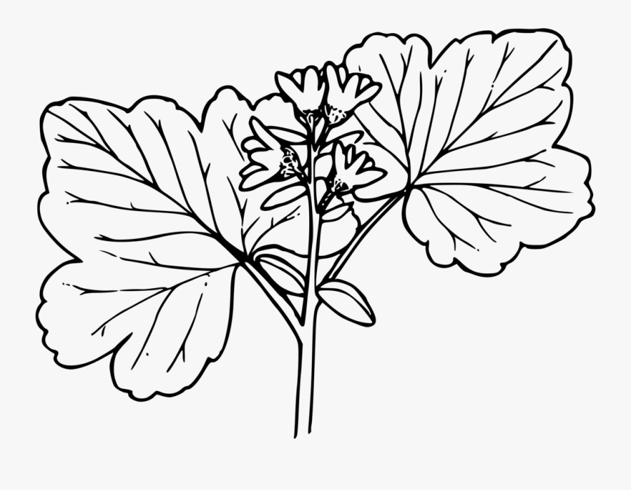 Symmetry,monochrome Photography,petal - Portable Network Graphics, Transparent Clipart