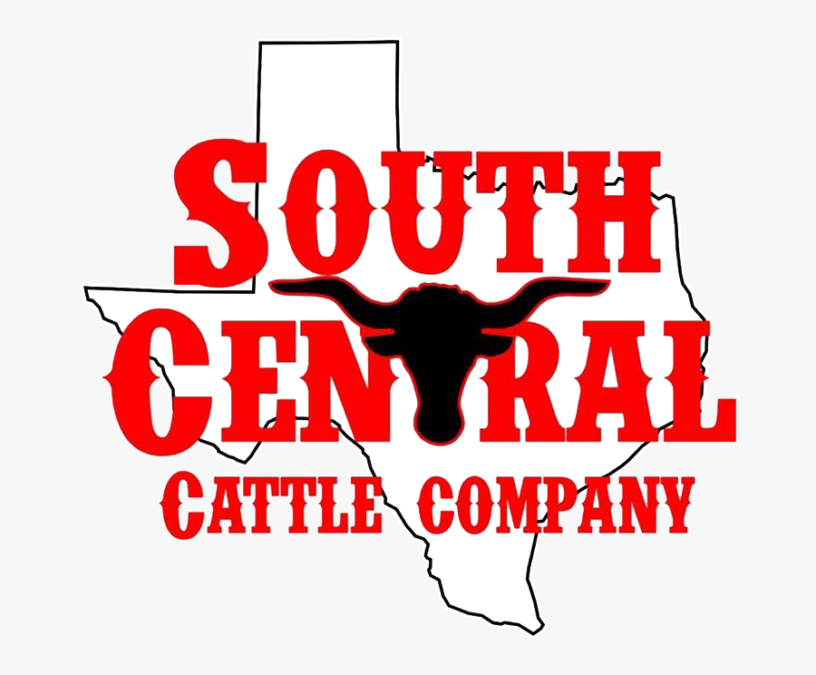 South Central Cattle Company - Logo Teen Ropping Texas, Transparent Clipart