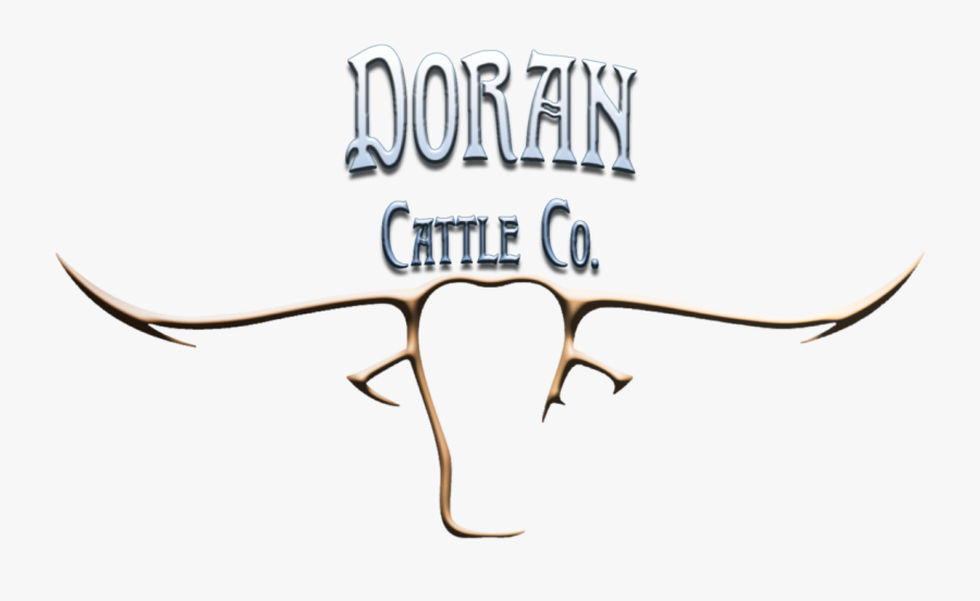 Texas Longhorn, Transparent Clipart