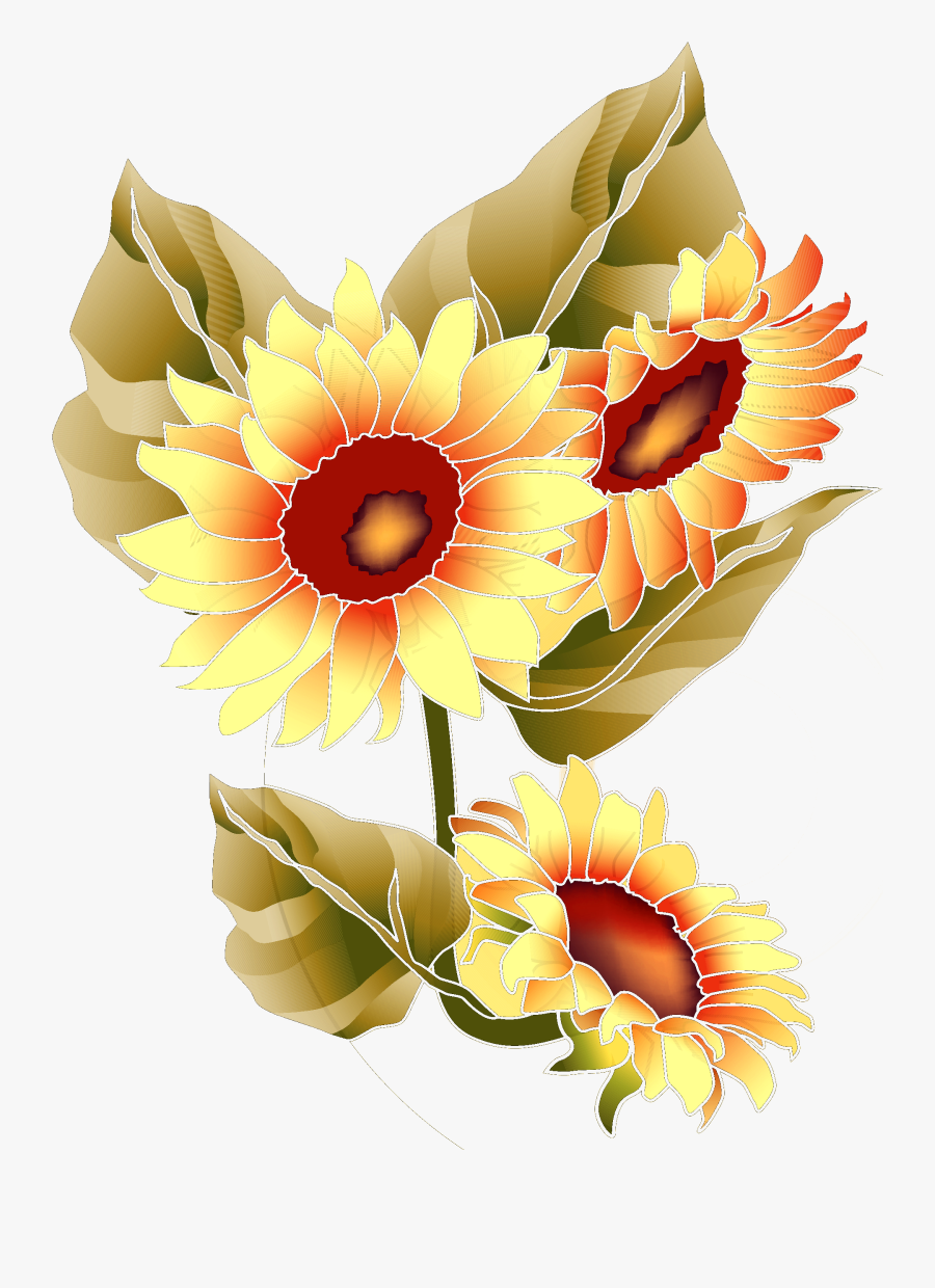 Sunflower, Transparent Clipart