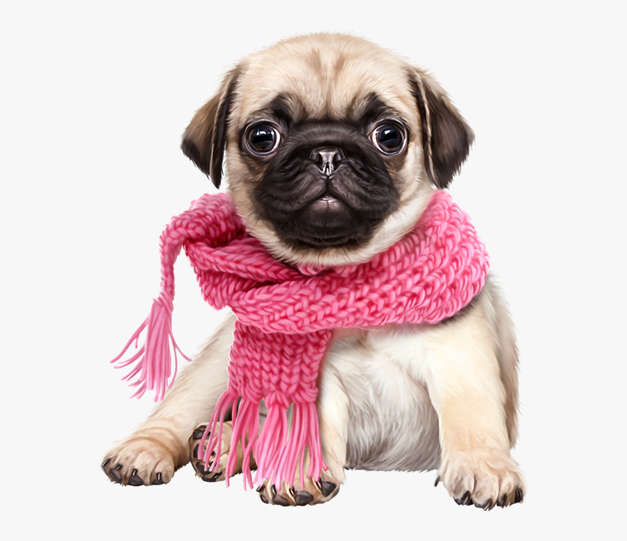 Transparent Pugs Clipart - Cute Dog Png, Transparent Clipart