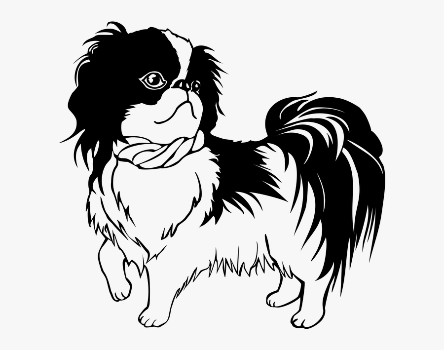Dog Png Clipart - Shih Tzu Line Art, Transparent Clipart