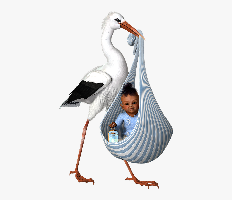 White Stork, Transparent Clipart