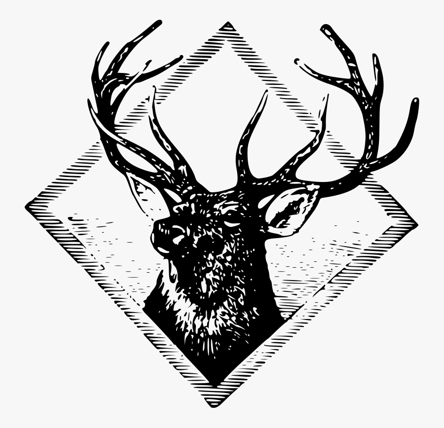 Stag - Logo Rusa Keren, Transparent Clipart