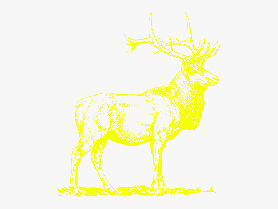 T-shirt, Transparent Clipart