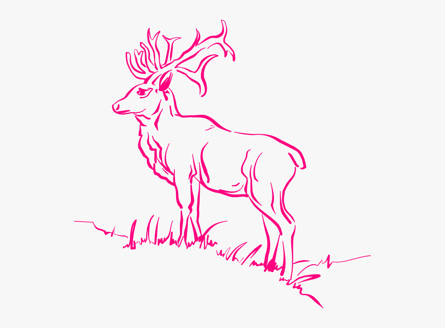 Animal In A Forest Drawing, Transparent Clipart