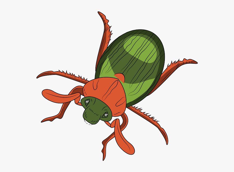 Tick, Transparent Clipart
